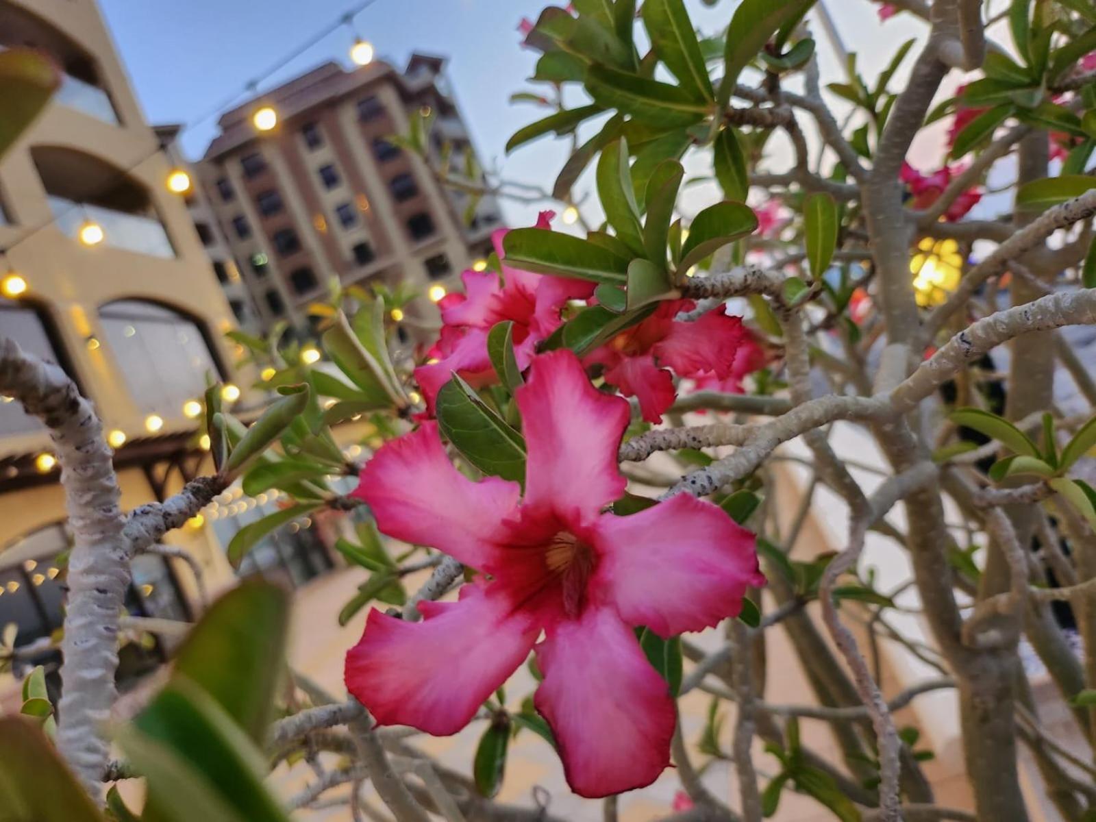 Marjan Island Beautiful Apartment Sea Side View Beach Luxury Rooms Ras Al Khaimah Uae Екстериор снимка